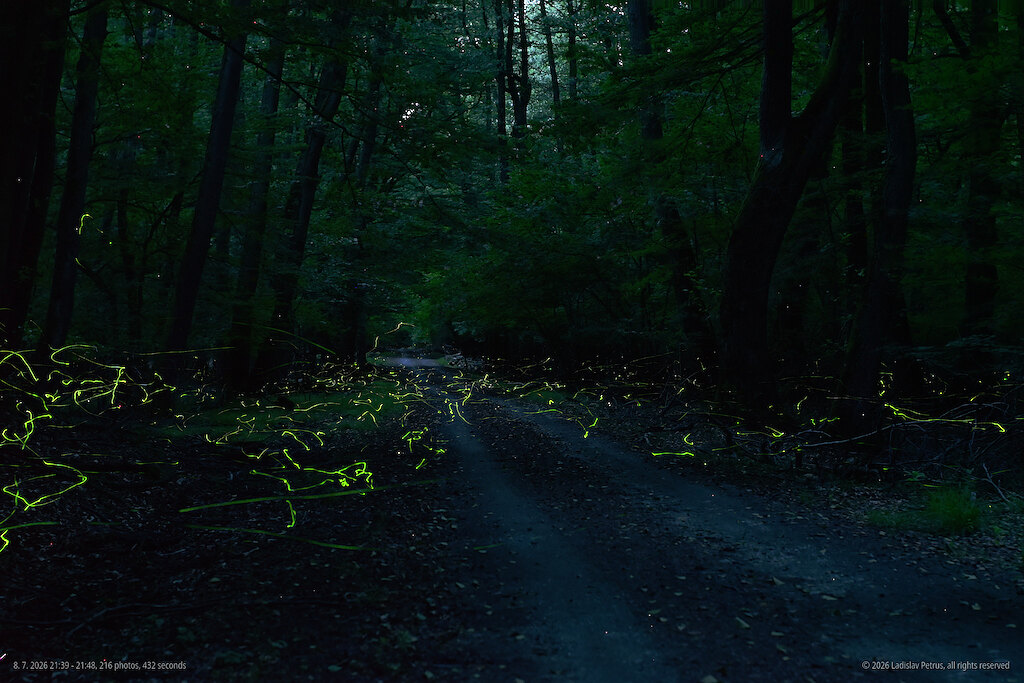 21:39–21:48 - activity clearly waning (216 frames, 2 s).