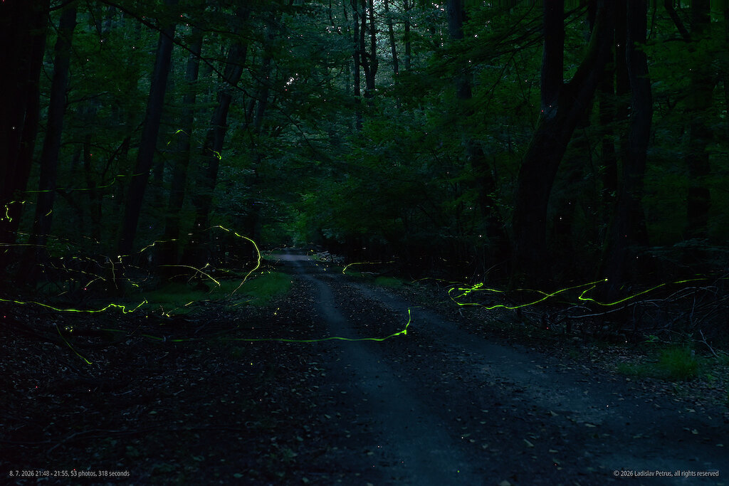 21:49–21:55 - only the last, fading flashes (53 frames, 6 s).
